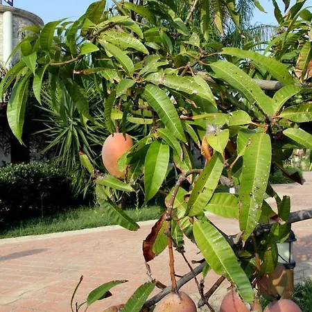 Santa Chiara Hotel 4*