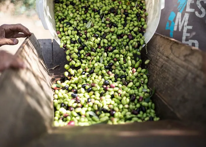 מלון Santa Chiara