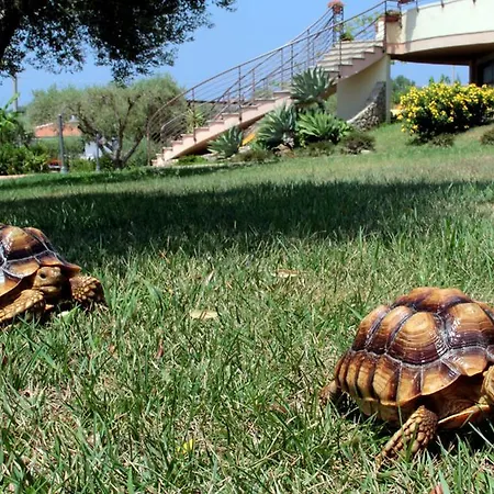 Santa Chiara Hotel Capo Vaticano