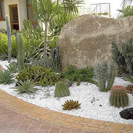 Santa Chiara فندق كابو فاتيكانو