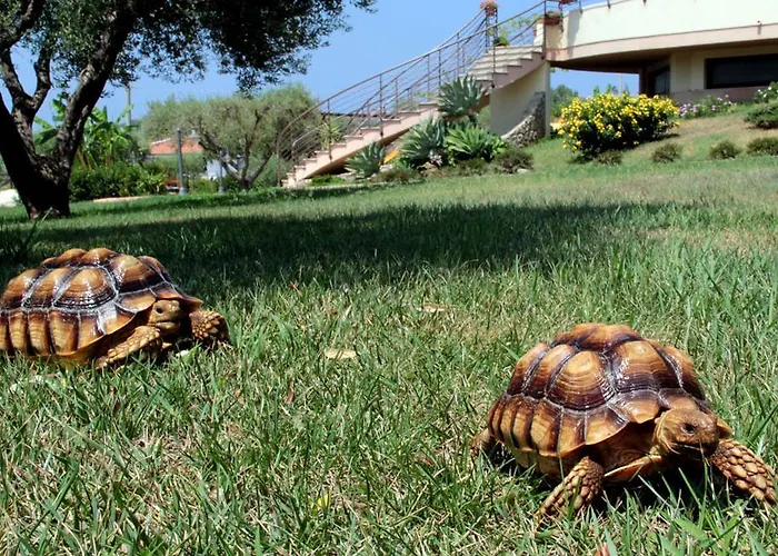 Santa Chiara 호텔 카포바티카노