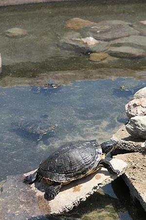 Hotell Santa Chiara 4*